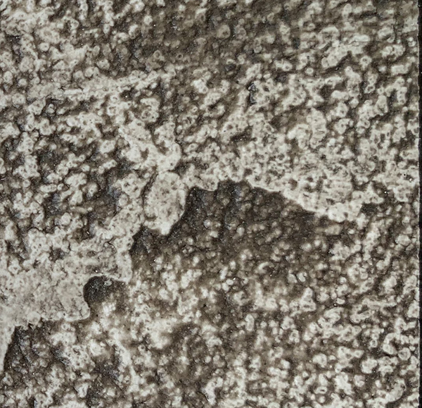 广西硅藻泥